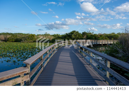 Elevated boardwalk over wetlands of Everglades National Park. 114441413
