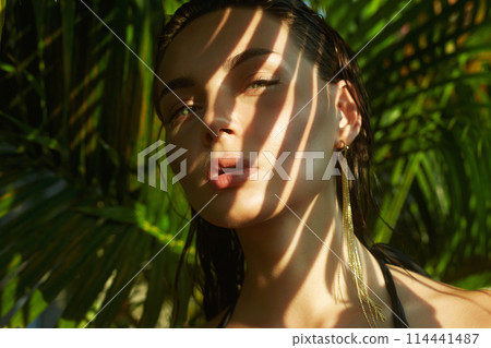 beautiful girl. young sexy woman in bikini under palm tree 114441487