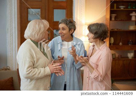Laughing elderly women friends standing at home living room 114441609