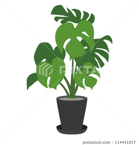 Simple illustration material of plants that can be placed in the home Vector Simple illustration material of plants that can be placed in the home Vector 114441857