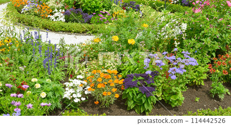 Blossoming flowerbed in the park 114442526