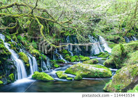 「秋田縣」元瀧地下水的春天景色 114443534