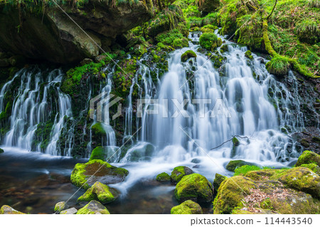 「秋田縣」元瀧地下水的春天景色 114443540