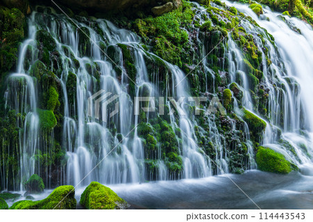 「秋田縣」元瀧地下水的春天景色 114443543