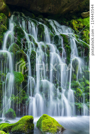 「秋田縣」元瀧地下水的春天景色 「秋田縣」元瀧地下水的春天景色 114443544