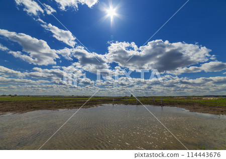Clouds over flooded agricultural field 114443676
