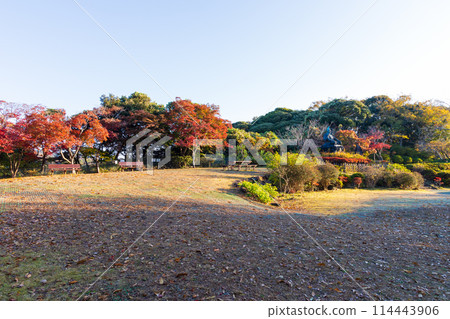 古都鎌倉的秋天-源氏山公園的紅葉 古都鎌倉的秋天-源氏山公園的紅葉 114443906