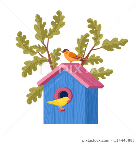 Bird house with feeder. Wooden bird house, hand crafted cute birds nests on oak tree flat vector illustration. Cartoon nesting bird house Bird house with feeder. Wooden bird house, hand crafted cute birds nests on oak tree flat vector illustration. Cartoon nesting bird house 114443995