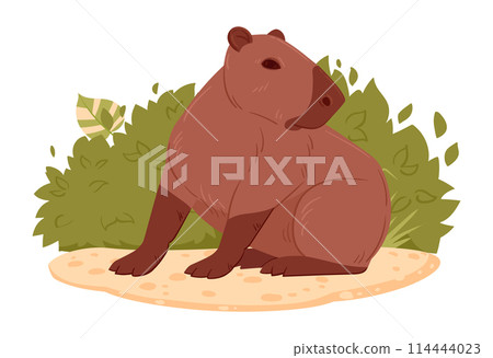 Wild capybara. Cartoon herbivore mammal in natural habitat, cute capybara flat vector illustration. Semi-aquatic animal 114444023