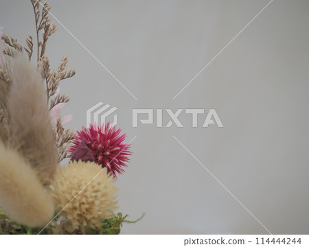 Dried flower interior 114444244