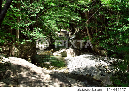 Yumori Park: Fresh greenery at Ryujin Falls 1 Yumori Park: Fresh greenery at Ryujin Falls 1 114444357