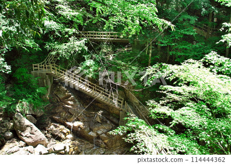 湯森公園 新綠龍神瀑布 木製長廊2 114444362