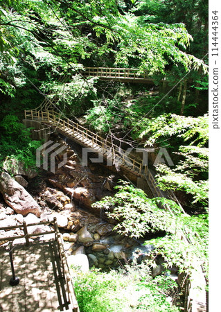 Yumori Park: Ryujin Falls with fresh greenery, boardwalk promenade 4 Yumori Park: Ryujin Falls with fresh greenery, boardwalk promenade 4 114444364