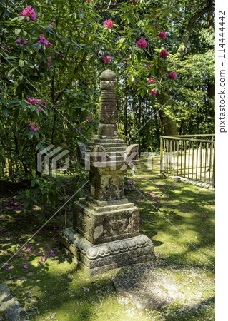 Honzanji Temple Pagoda, Misaki Town, Okayama Prefecture 114444442