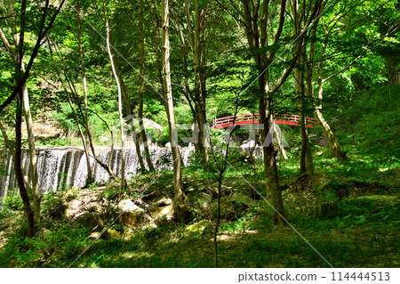 湯森公園新綠紅葉橋 湯森公園新綠紅葉橋 114444513