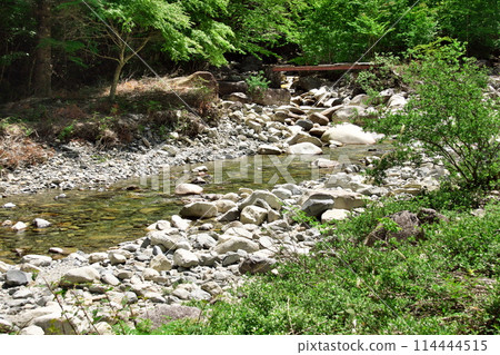 湯森公園新綠溪流長廊2 114444515