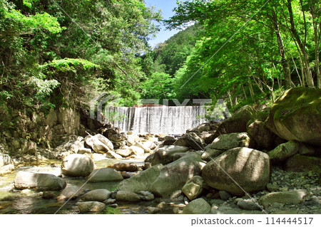 湯森公園新綠紅葉橋3 114444517