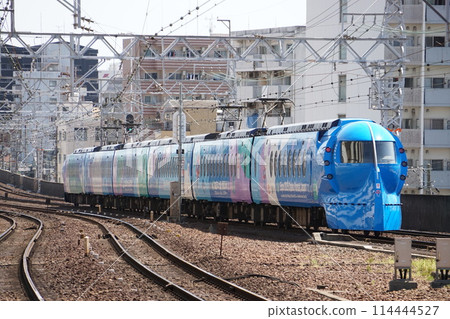 Nankai Limited Express Rapi:t Expo Wrapping Train 114444527