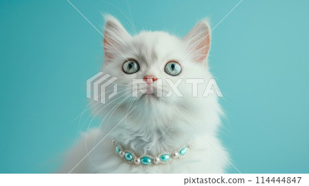 White cat wearing pearl necklace on blue background 114444847