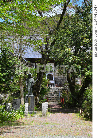 龍圓寺院內春天新綠風光越生町 114445047