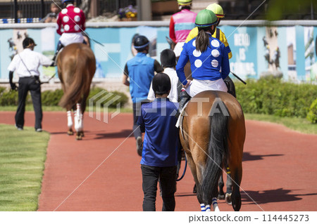 新潟縣新潟市賽馬場風景圍場 114445273