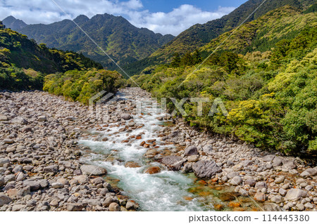 阿爾卑斯山近海的屋久島宮之浦河谷，新綠閃耀 114445380