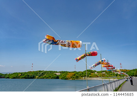 The lake surface and carp streamers at Isaka Dam in early summer in Yokkaichi City, Mie Prefecture The lake surface and carp streamers at Isaka Dam in early summer in Yokkaichi City, Mie Prefecture 114445685