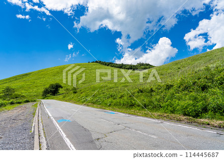 夏季長野：車山高原的金星線道路 114445687