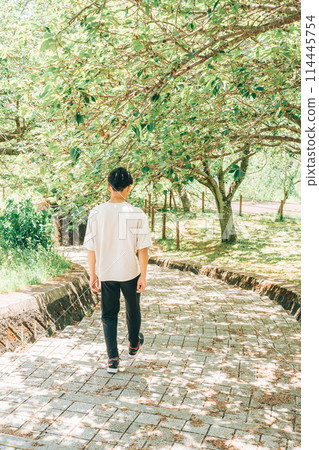Hitachi Fudoki Hill, Ishioka City, Ibaraki Prefecture (May) Fresh greenery A man walking in the sunlight filtering through the trees Hitachi Fudoki Hill, Ishioka City, Ibaraki Prefecture (May) Fresh greenery A man walking in the sunlight filtering through the trees 114445754