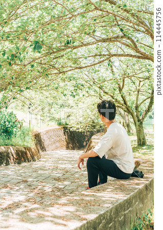 Hitachi Fudoki Hill, Ishioka City, Ibaraki Prefecture (May) Fresh greenery: A man sits in the sunlight filtering through the trees 114445756