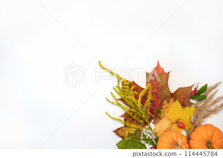 Still life with autumn thousand, maple leaves and foliage. Cozy composition bouquet on a white background. Autumn aesthetic concept. Copy space Still life with autumn thousand, maple leaves and foliage. Cozy composition bouquet on a white background. Autumn aesthetic concept. Copy space 114445784