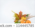 Still life with autumn thousand, maple leaves and foliage. Cozy composition bouquet on a white background. Autumn aesthetic concept. Copy space 114445785