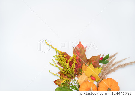 Still life with autumn thousand, maple leaves and foliage. Cozy composition bouquet on a white background. Autumn aesthetic concept. Copy space Still life with autumn thousand, maple leaves and foliage. Cozy composition bouquet on a white background. Autumn aesthetic concept. Copy space 114445785