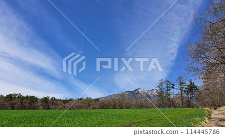 Grassland and blue sky Mountain 114445786