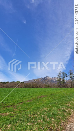 藍天和高山草原 114445788