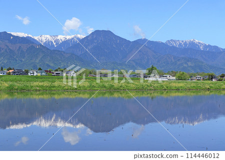 Azumino and the Northern Alps in May 114446012