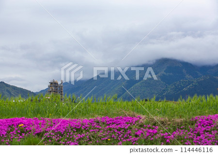 山中出現的化工廠 114446116