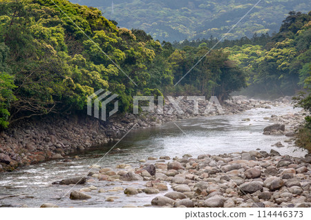 新綠 宮之浦川谷 屋久島、阿爾卑斯山近海（春季） 114446373