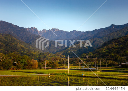World Natural Heritage Mount Nagata and rice fields, Yakushima (Spring) 114446454