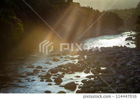 Miyanoura River Valley - Rays of Light - Yakushima Island, the Island of Gods (Spring) Miyanoura River Valley - Rays of Light - Yakushima Island, the Island of Gods (Spring) 114447016