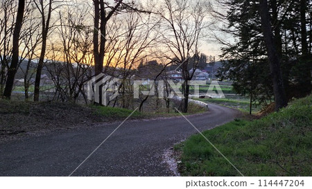 公園裡的步道被夕陽照亮 114447204