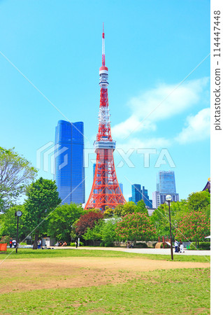 東京都港區東京鐵塔風景 114447448