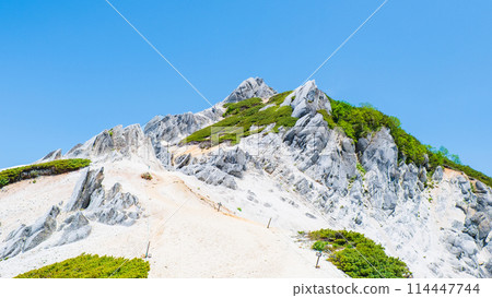 Summer climbing of Mt. Tsubaku (Tsubame-dake - summit of Mt. Tsubaku) 114447744
