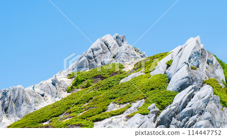 Summer climbing of Mt. Tsubaku (Tsubame-dake - summit of Mt. Tsubaku) 114447752