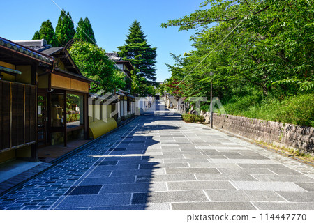 "Nene's Path" of fresh greenery "Nene's Path" of fresh greenery 114447770