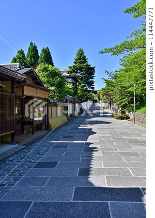 "Nene's Path" of fresh greenery "Nene's Path" of fresh greenery 114447771