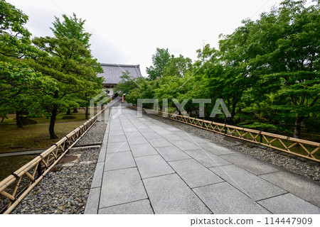 鮮綠色的智積院 114447909