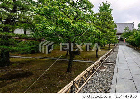 Fresh greenery at Chishaku-in Temple 114447910