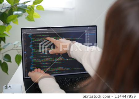 A woman who works as a web designer as a side job A woman who works as a web designer as a side job 114447959