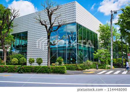 東京澀谷區新綠代官山T-SITE附近的風景 東京澀谷區新綠代官山T-SITE附近的風景 114448090